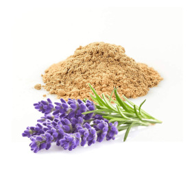 Lavender Sandalwood Body Oil