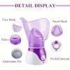 1pc Facial Steamer, Facial Skin Humidifier With Face Cover And Measure Cup, US Plug