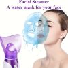 1pc Facial Steamer, Facial Skin Humidifier With Face Cover And Measure Cup, US Plug