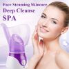 1pc Facial Steamer, Facial Skin Humidifier With Face Cover And Measure Cup, US Plug