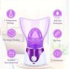 1pc Facial Steamer, Facial Skin Humidifier With Face Cover And Measure Cup, US Plug